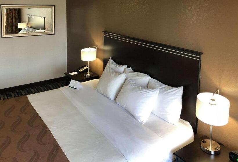 キングサイズベッドのスイートルーム, Quality Inn & Suites Denver International Airport