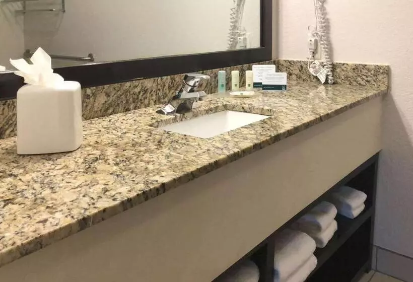 اتاق استاندارد برای معلولان, Quality Inn & Suites Denver International Airport