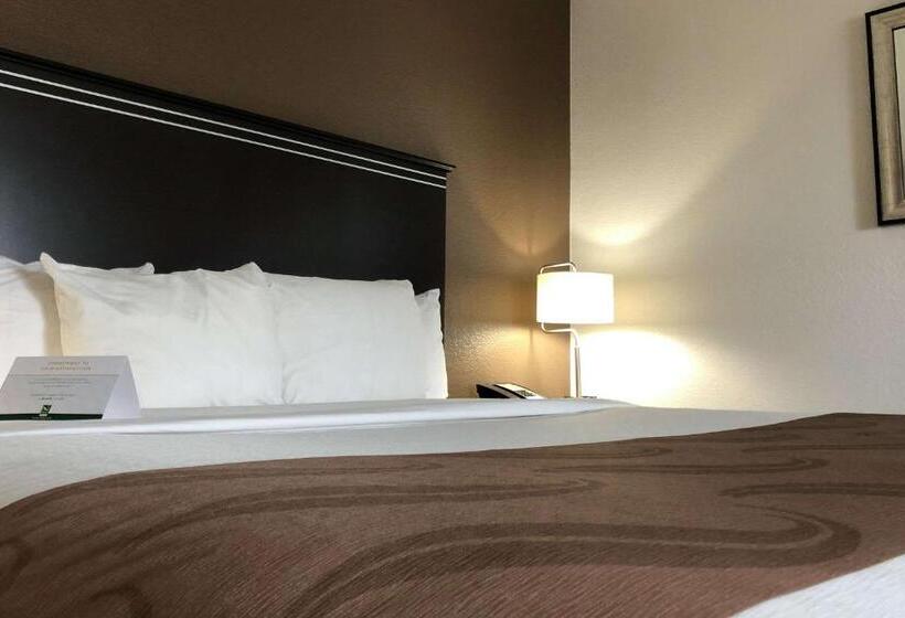 身障者適用キングサイズベッドルーム, Quality Inn & Suites Denver International Airport