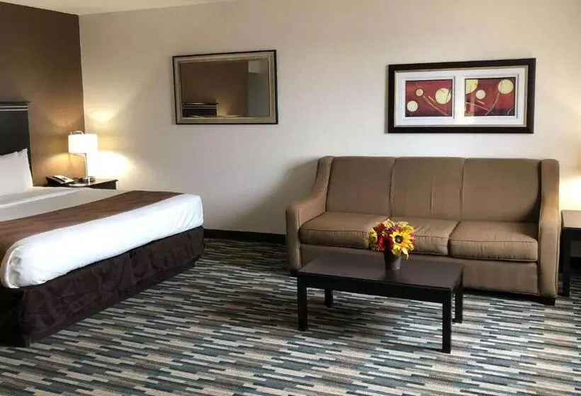 اتاق استاندارد با تخت بزرگ برای معلولان, Quality Inn & Suites Denver International Airport
