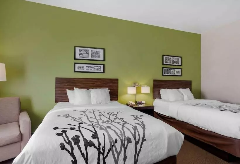 2ダブルベッドのスタンダードルーム, Sleep Inn & Suites