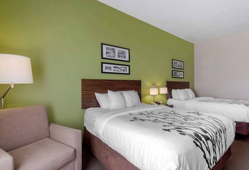 Номер Стандарт 2 Двуспальные Кровати, Sleep Inn & Suites
