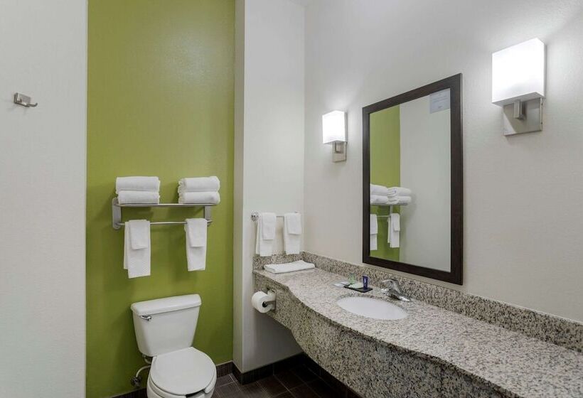 חדר סטנדרט שתי מיטות זוגיות, Sleep Inn & Suites