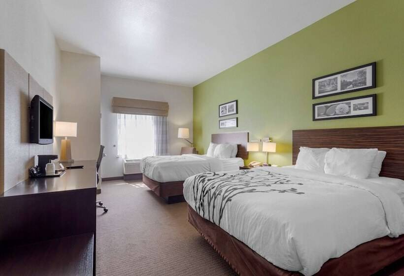 חדר סטנדרט שתי מיטות זוגיות, Sleep Inn & Suites