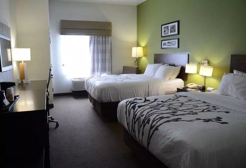 2ダブルベッドのスタンダードルーム, Sleep Inn & Suites