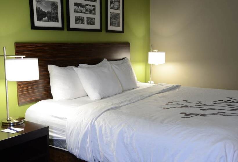 Люкс, Sleep Inn & Suites