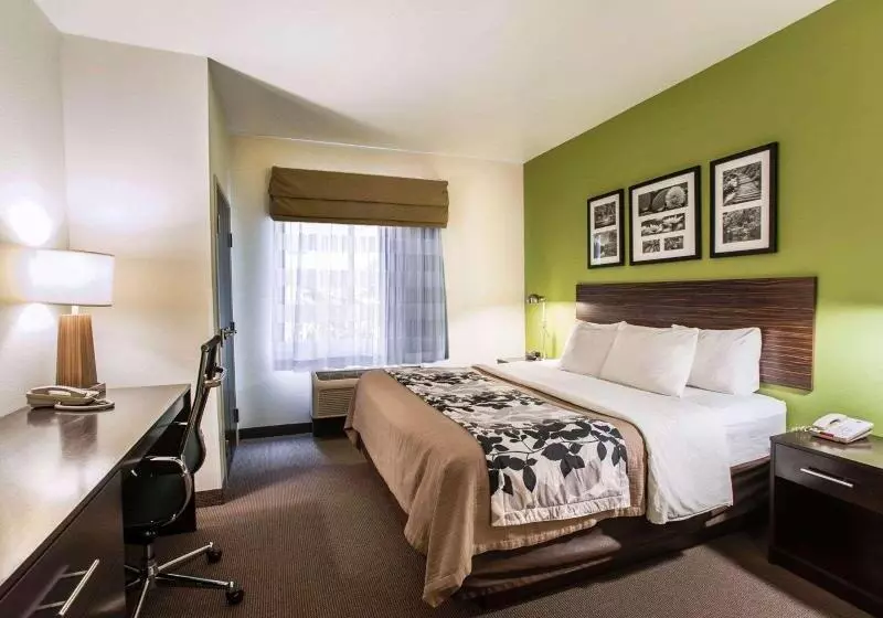キングサイズベッドのスイートルーム, Sleep Inn & Suites