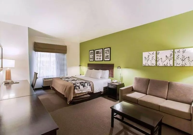 キングサイズベッドのスイートルーム, Sleep Inn & Suites