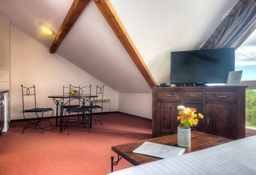 스탠다드 스튜디오, Zenitude Evian Les Terrasses Du Lac, Ascend Hotel Collection