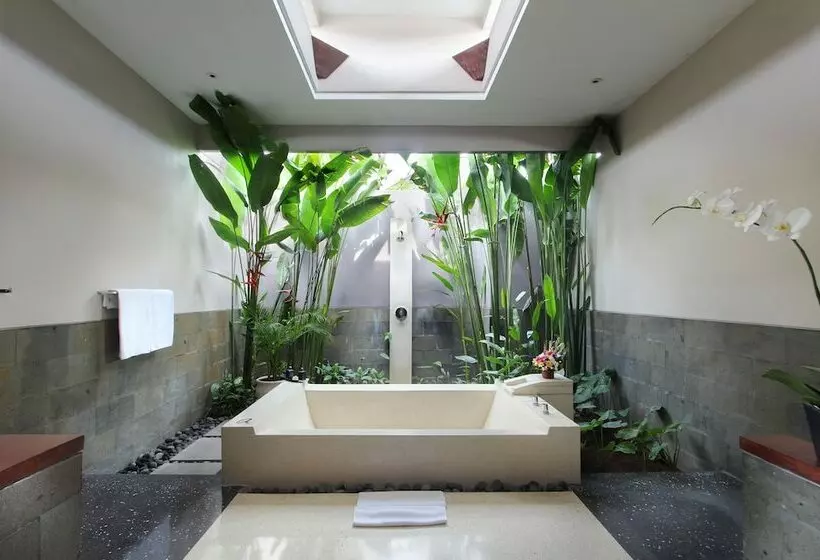 ویلای یک اتاق خوابه با استخر شنا, Aria Exclusive Villa And Spa