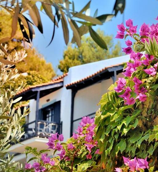 اتاق استاندارد با چشم‌انداز باغ, Adrina Beach