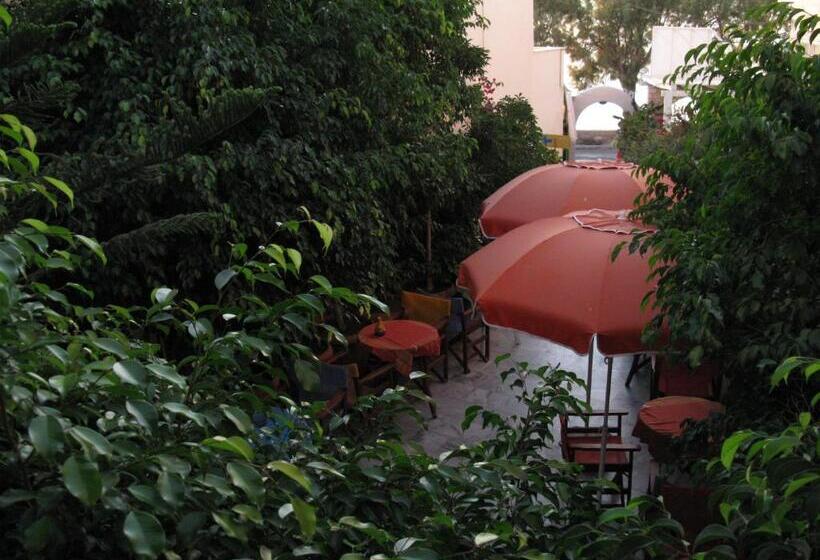 غرفة قياسية رباعية, Alexandra S Rooms