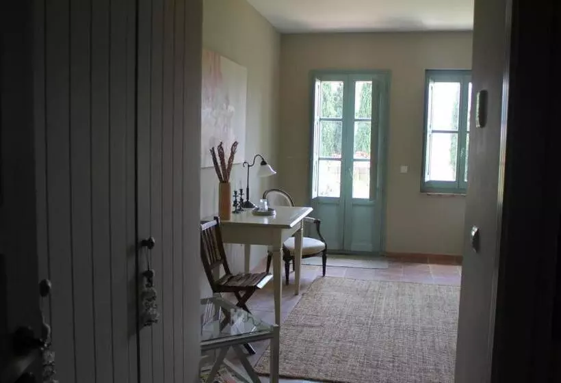اتاق استاندارد با تراس, Moli Canyisset