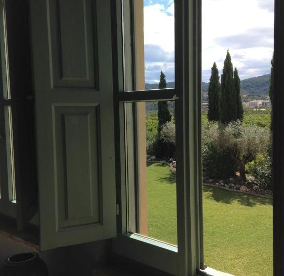 Номер Стандарт, Moli Canyisset