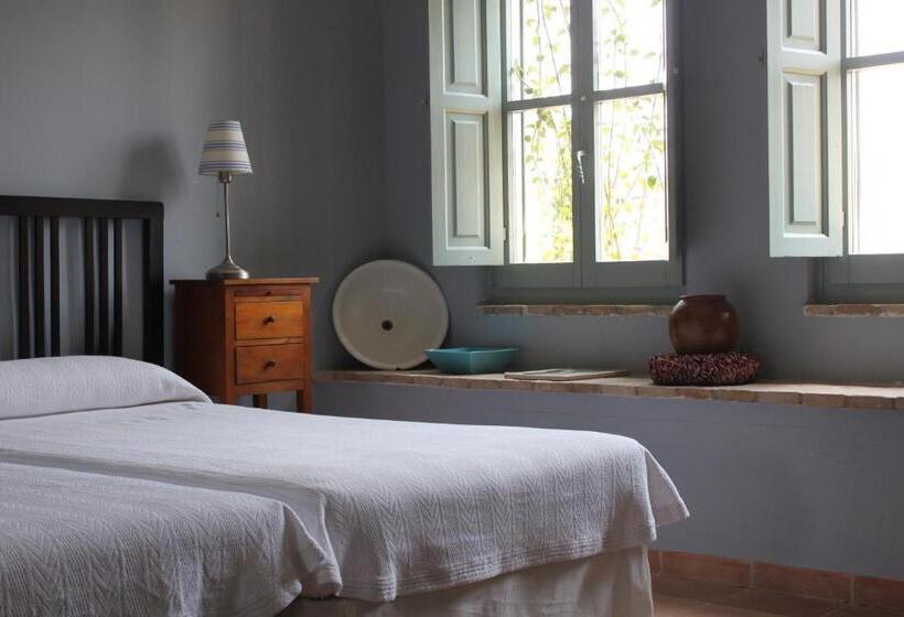 Номер Стандарт, Moli Canyisset