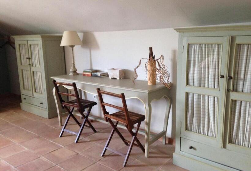 Номер Стандарт, Moli Canyisset