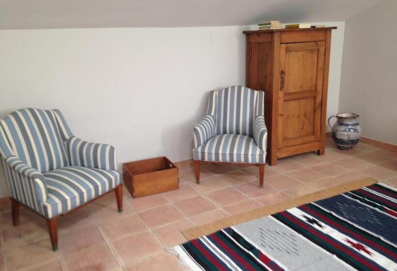 Номер Стандарт, Moli Canyisset