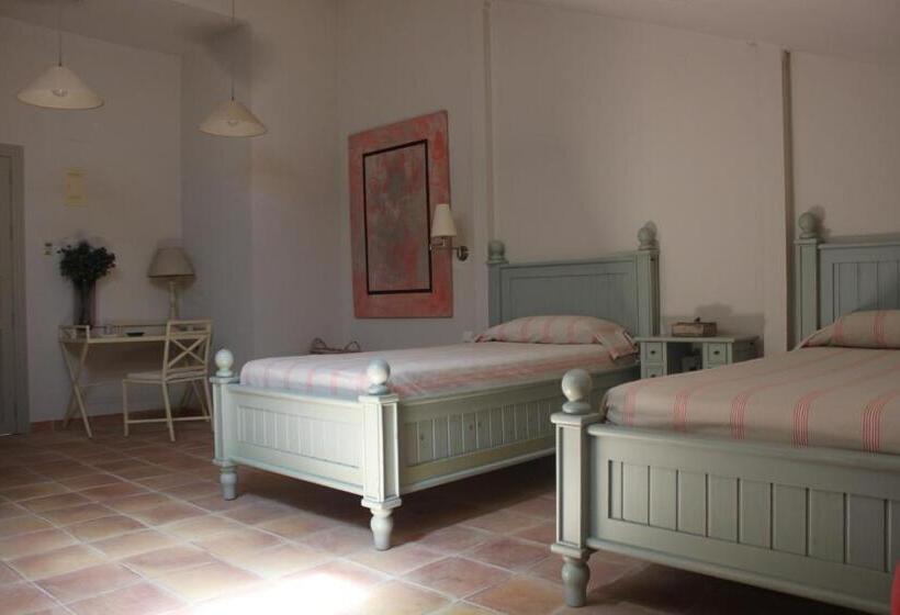 Номер Стандарт, Moli Canyisset