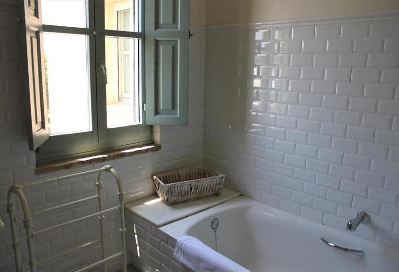 Номер Стандарт, Moli Canyisset