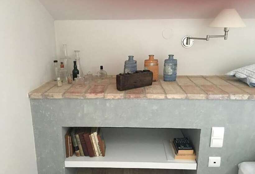 Номер Стандарт, Moli Canyisset