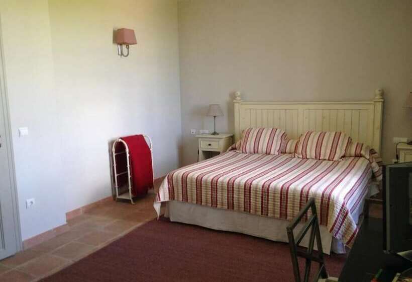 Номер Стандарт, Moli Canyisset