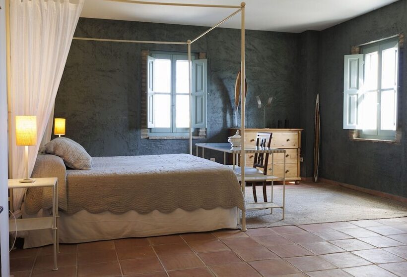 Номер Deluxe, Moli Canyisset