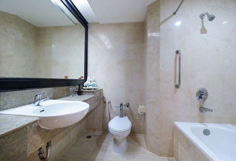 디럭스 룸, Grand Arkenso Park View