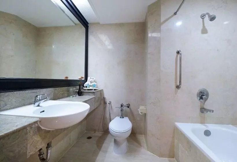 اتاق لوکس, Grand Arkenso Park View