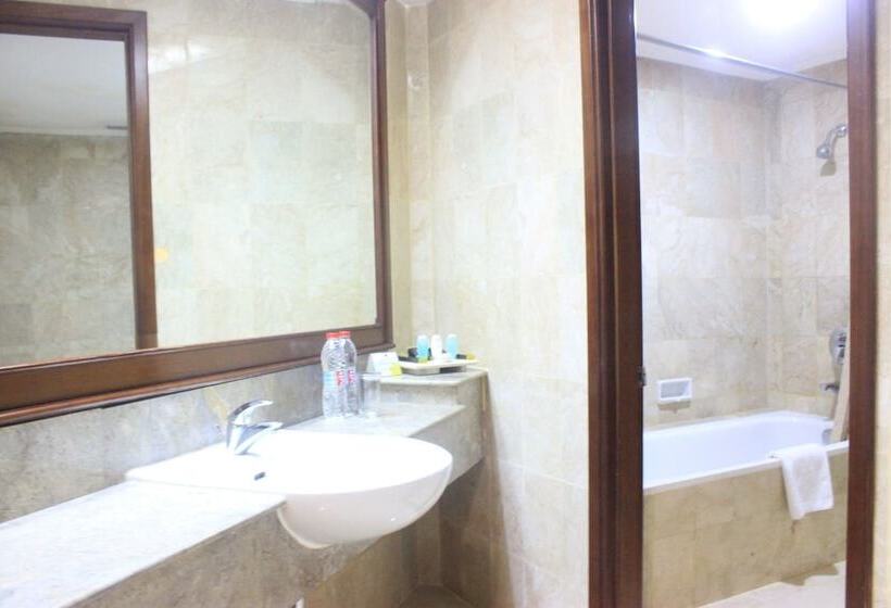 이그제큐티브 스위트, Grand Arkenso Park View