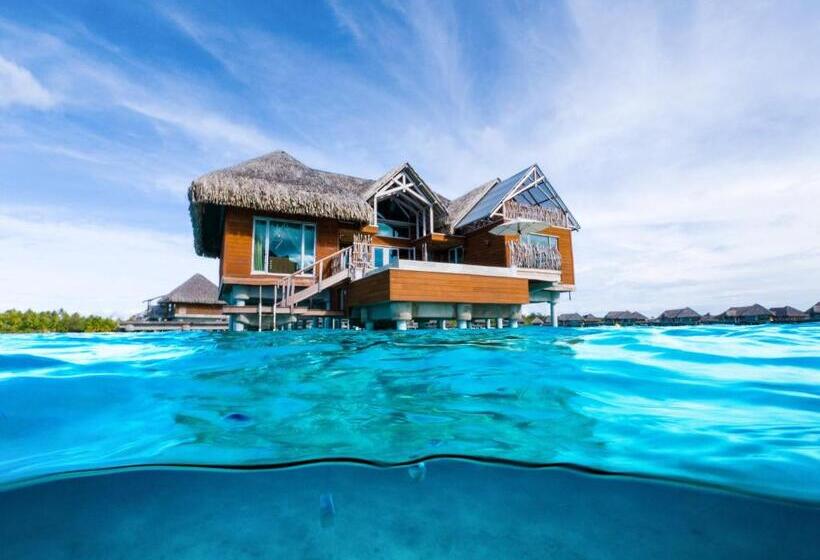 带大床的套房, Intercontinental Bora Bora & Thalasso Spa, An Ihg