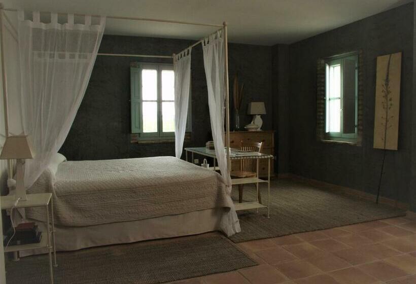 Номер Deluxe, Moli Canyisset