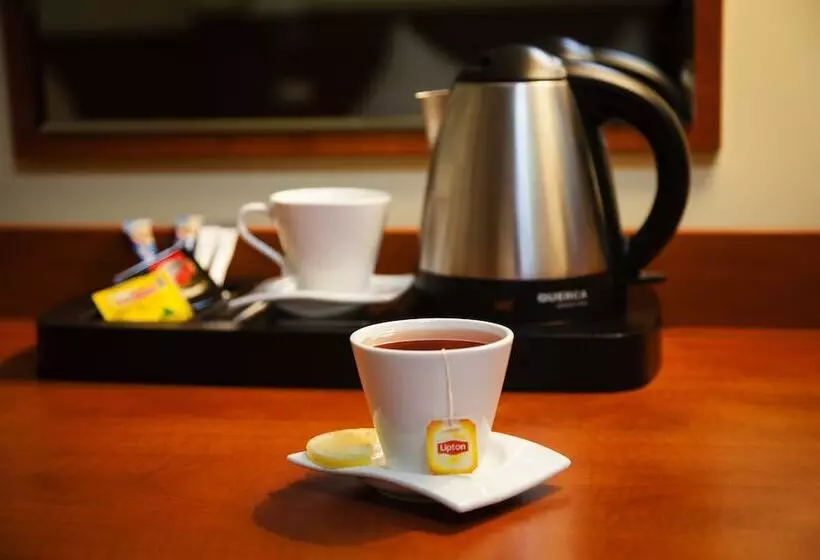 اتاق استاندارد یک نفره, Premium Hotel Bacero Wrocław