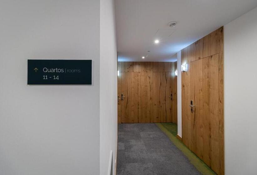 استودیو استاندارد با بالکن, Roots