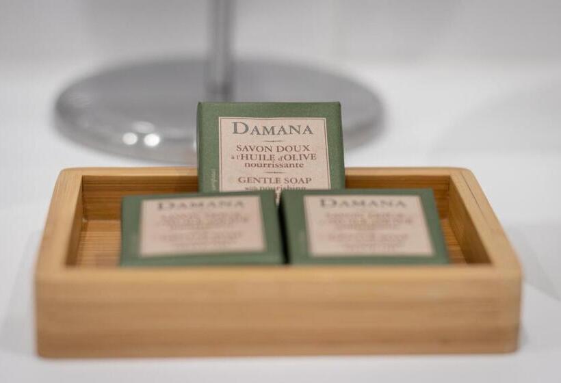 آپارتمان 1 خوابه, Roots