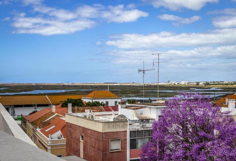 آپارتمان 1 خوابه با تراس, Roots