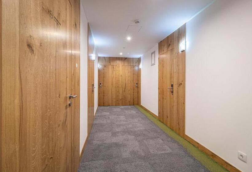 استودیو استاندارد با بالکن, Roots