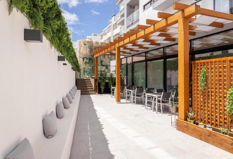 استودیو استاندارد با بالکن, Roots