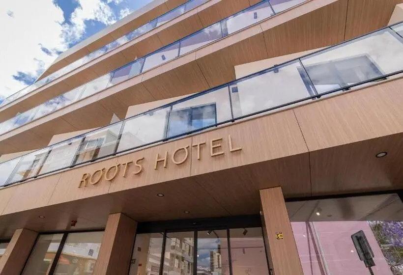 آپارتمان 1 خوابه با تراس, Roots