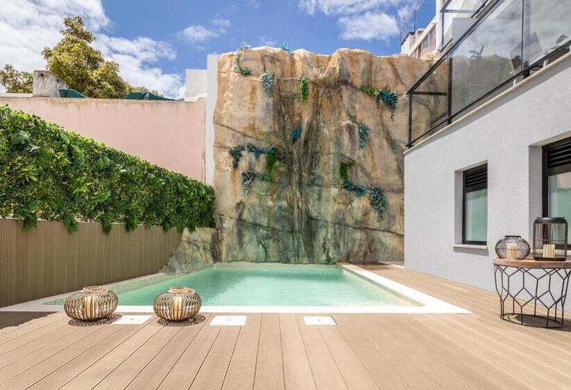 آپارتمان 1 خوابه با تراس, Roots