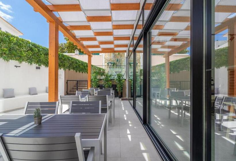 آپارتمان 1 خوابه با تراس, Roots