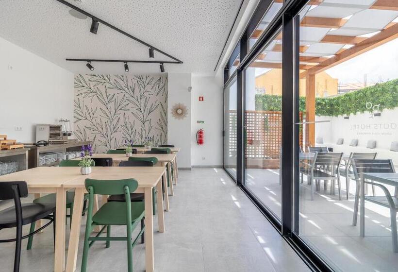 استودیوی استاندارد, Roots