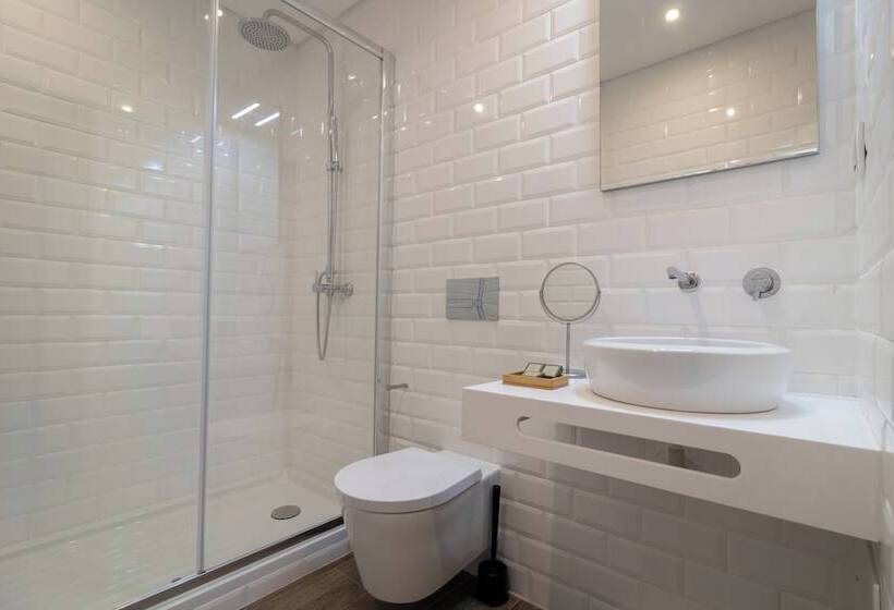 استودیو استاندارد با بالکن, Roots