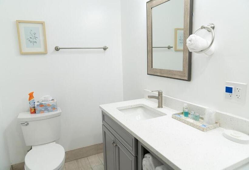 스탠다드 룸 킹사이즈 침대, Tyler Inn At Zion