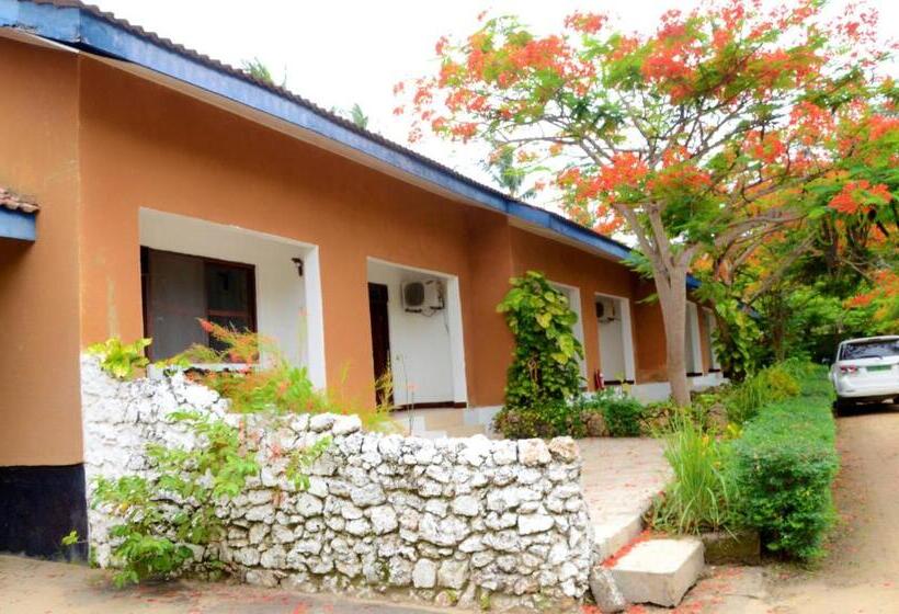 اتاق لوکس با چشمانداز دریا, Funky Squids Beach Resort