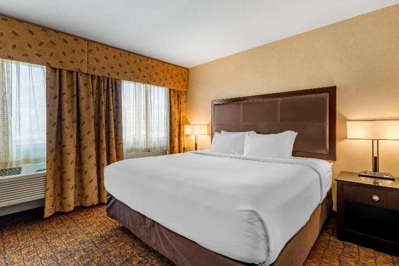 キングサイズベッドのスタンダードルーム, Holiday Inn Tongren Wanshan, An Ihg