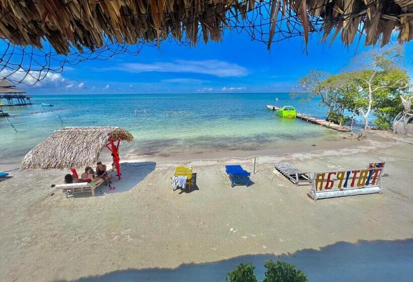 スタンダード４人部屋, Tintipan Ashram Hostel & Glamping