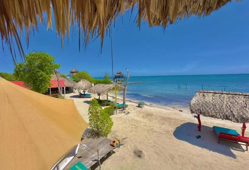 Standard Tent, El Cocotal Tintipan
