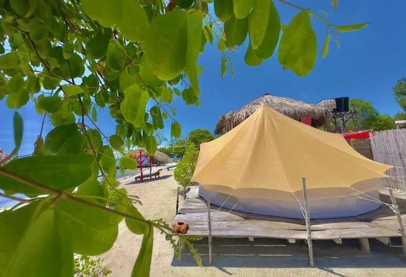 Standard Tent, El Cocotal Tintipan