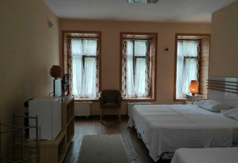 חדר סטנדרטי לשלושה עם נוף, Camlihemsin Tasmektep