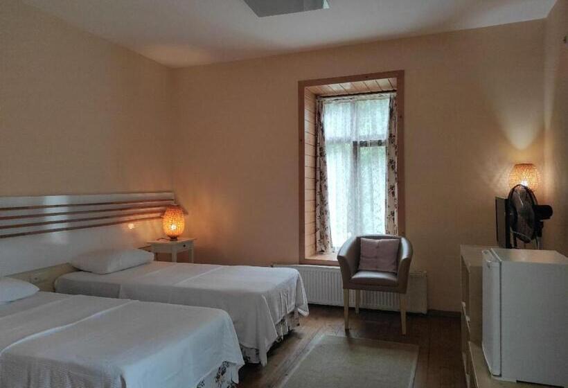 חדר סטנדרט נוף להרים, Camlihemsin Tasmektep